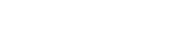 MecanicaWeb logo